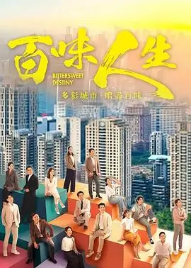 太阳的后裔剧集海报